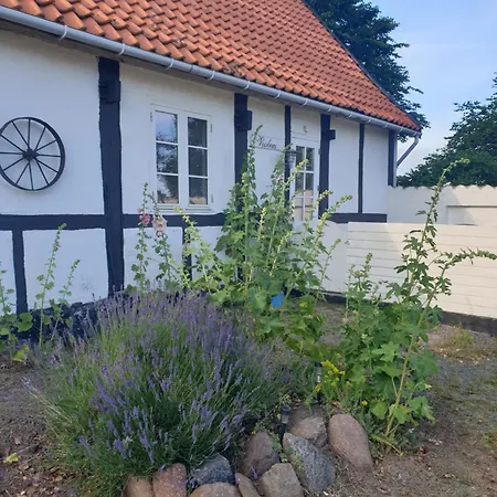 Violen Апартаменты *