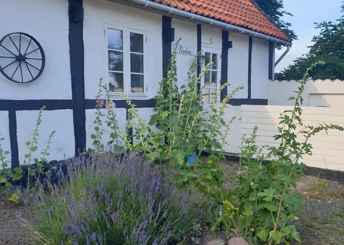 Violen Apartment *